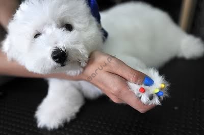 Nail Caps Nakładki na pazury zapobiegające drapaniu dla psa 20szt - Różowe