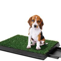 Kuweta z trawą dla psa, z szufladą. 63 / 50 / 6cm Pet Potty Delux