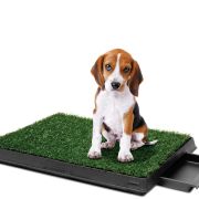 Kuweta z trawą dla psa, z szufladą. 63 / 50 / 6cm Pet Potty Delux